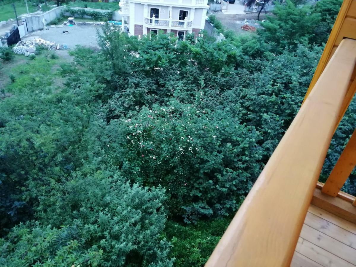 Деревянный Котеж The 1 С Выдом На Город Batumi Exterior photo